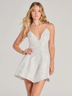 Capture Hearts V-Neck Embroidered Skater Dress